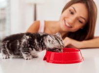 Katzenfutter im Test - auf Schadstoffe achten!